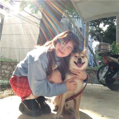 原则